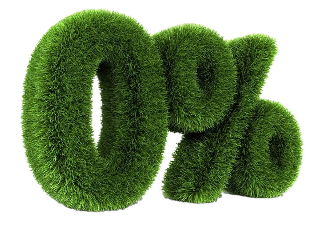 Image title